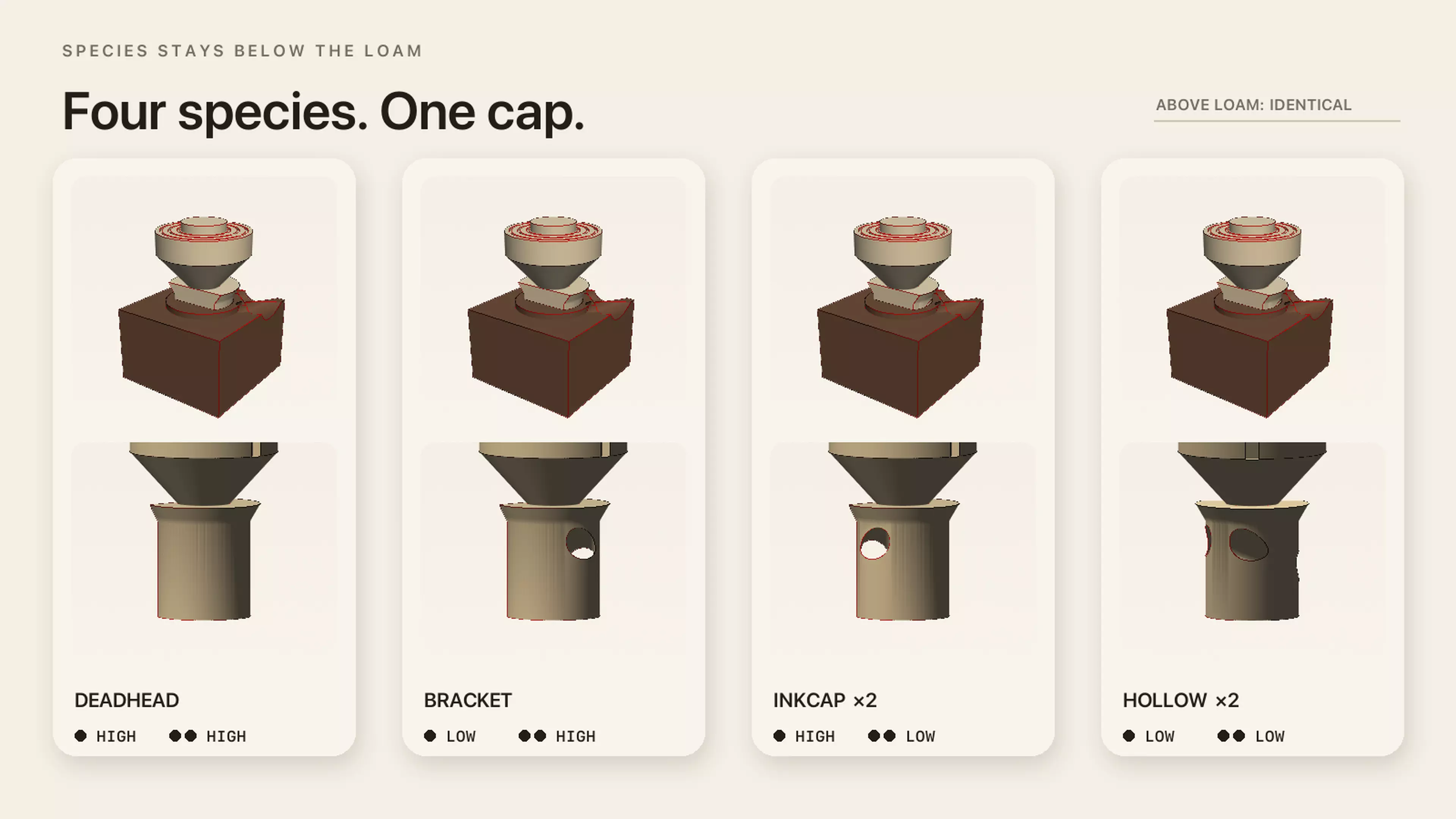 Designed for two players and a 25-minute table. Plant six hidden mushrooms, spend three probes on physical high/low readings, commit three crowns, then reveal the field and score orthogonal groves. By Alice.