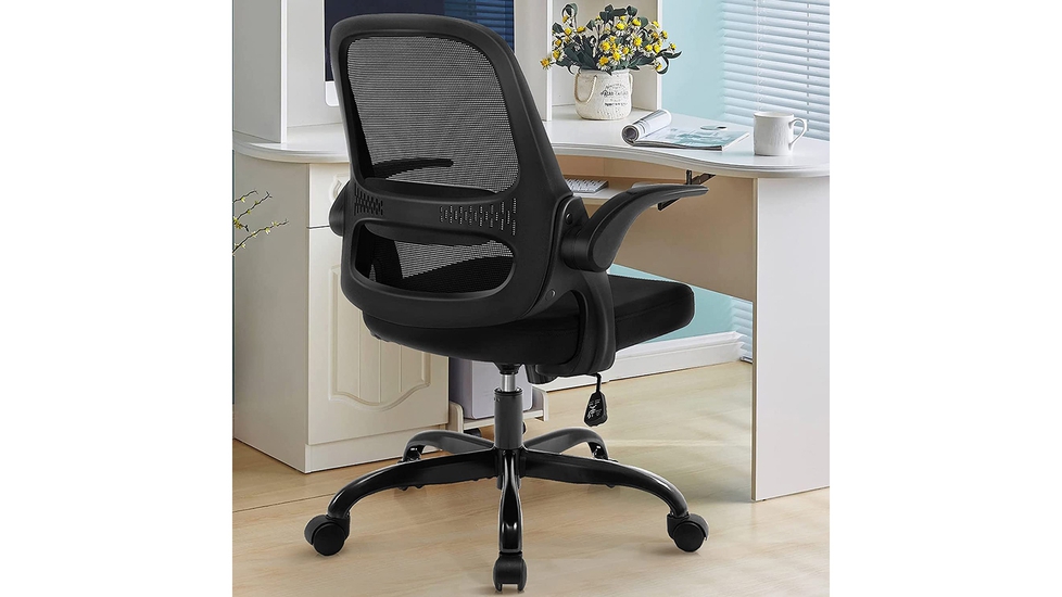 FelixKing Office Chair, Ergonomic Desk Chair with Adjustable Height and  Lumbar Support Swivel Lumbar Support Desk Computer Chair with Flip up  Armrests