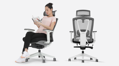 ErgoChair Pro - One of the Best Ergonomic Office Chairs