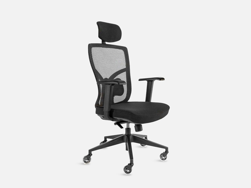 The Office Oasis Ergonomic Chair: Hardwood Floors Caster