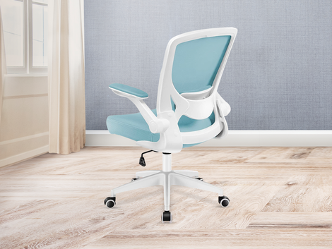 KERDOM Office Ergonomic Chair: Adjustable Armrests