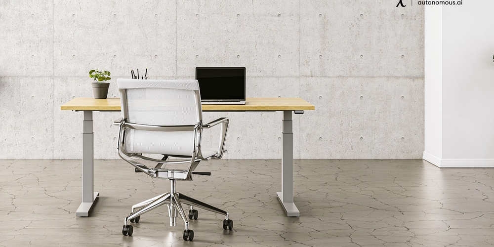Top 20 Ergonomic Work Chair to Upgrade Your Office