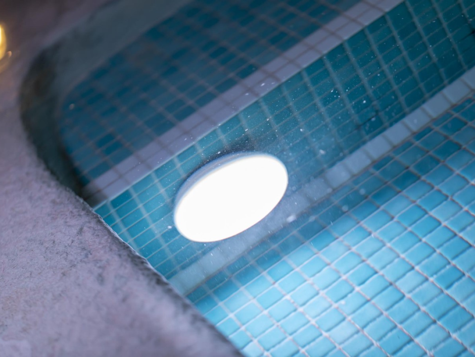 NEWGARDEN Cordless LED Papaya Waterproof Pool Light 800 Lumens: Magnetic Charging