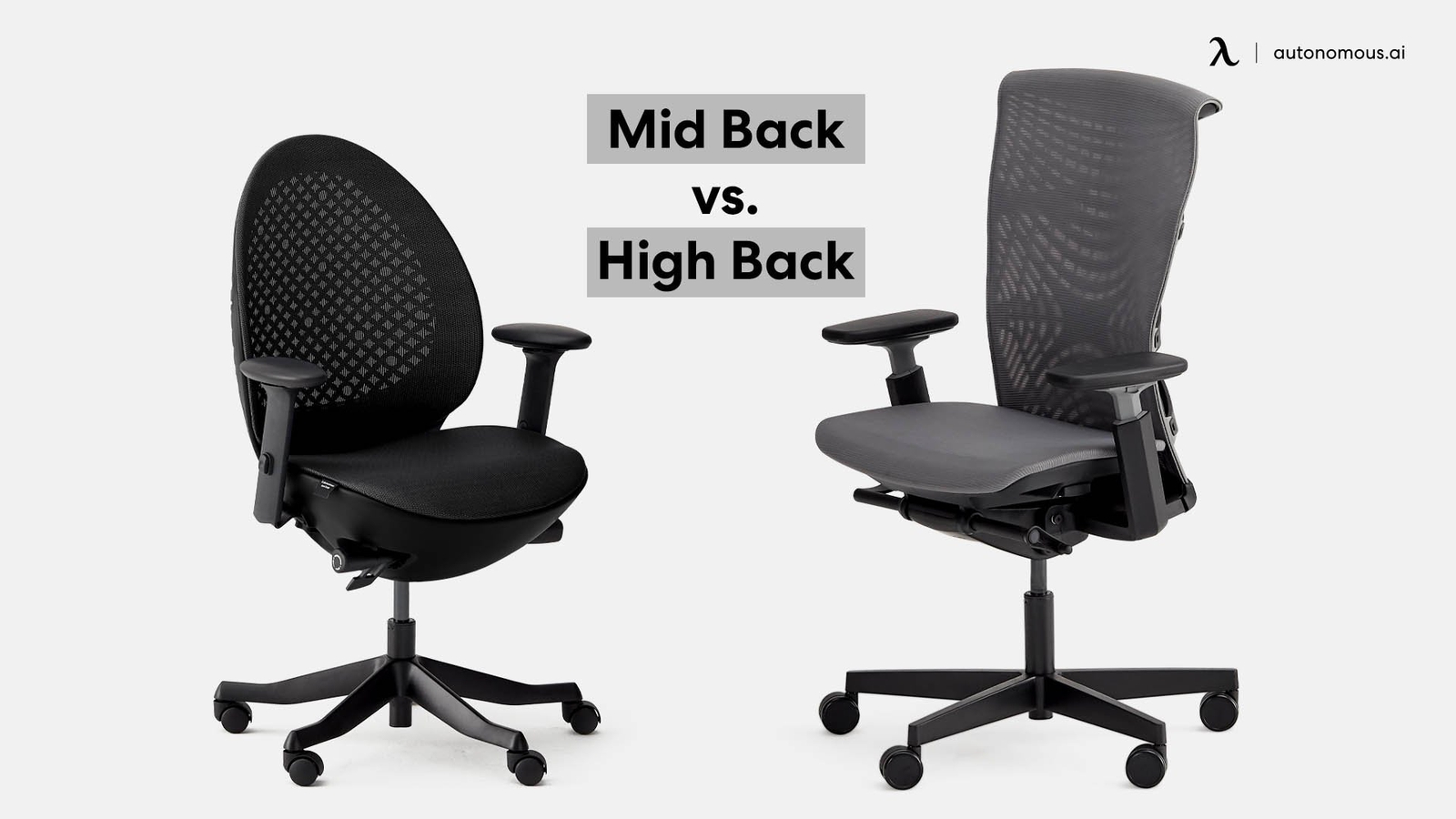 Mid Back vs. High Back Office Chair: Which One is Better?