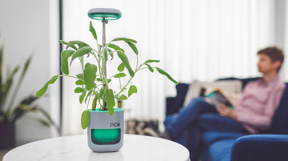 Pico Small Indoor Planter With Multi-spectrum Grow Lights - Autonomous.ai