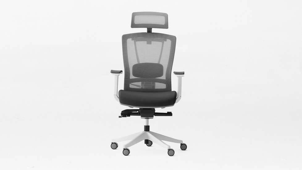 ErgoChair Pro  The Ergonomic Chair that Supports Your Entire Body