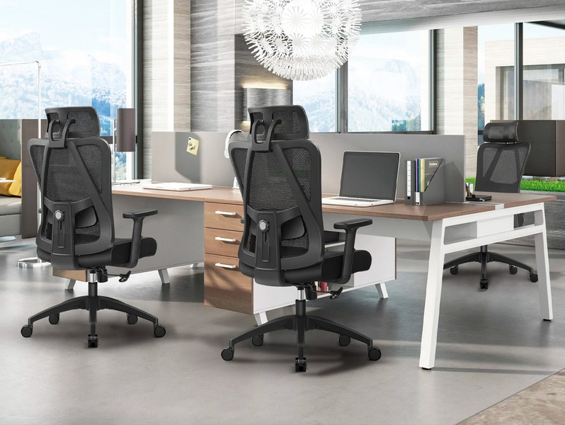 KERDOM Ergonomic Primy Office Chair: Adjustable Lumbar Support