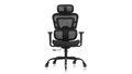 kerdom-ergonomic-chair-curved-mesh-seat-black-firewheels-for-carpet - Autonomous.ai
