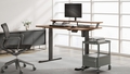 fenge-electric-height-adjustable-standing-desk-48-inch-walnut-brown - Autonomous.ai