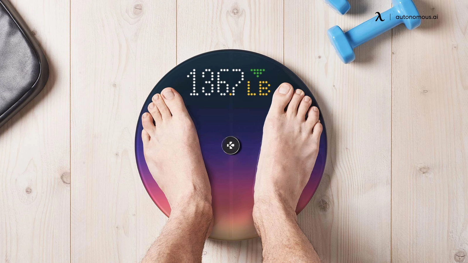 10 Best Smart Scales of 2024: BMI, Muscle Mass, Body Fat & More