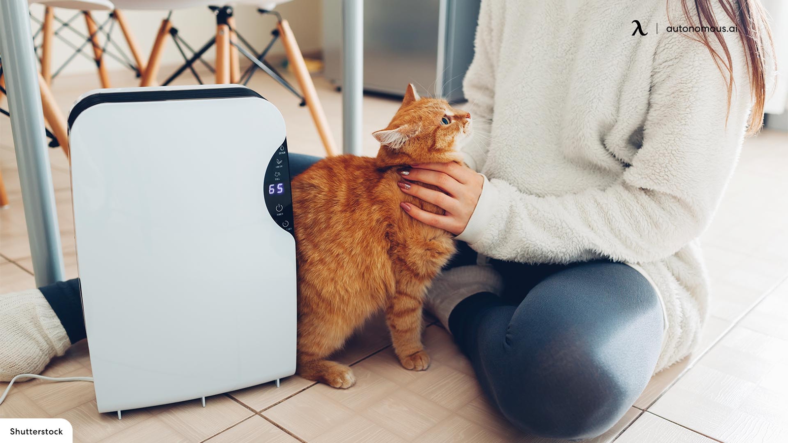 The 8 Best Air Purifiers for Pets In 2024
