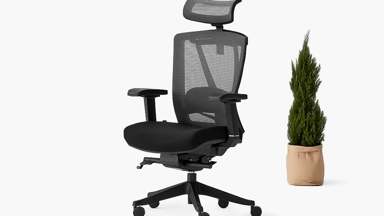 Ergochair 2 The Ergonomic Chair Every Office Needs