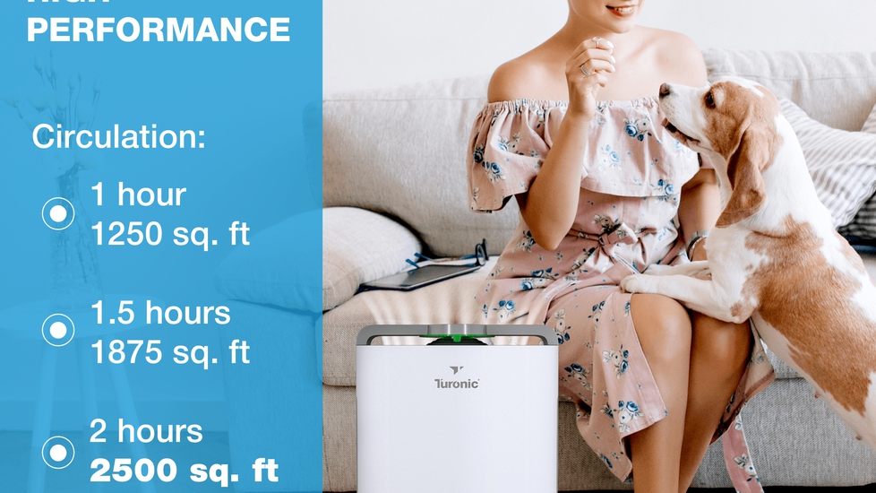 Hepa hot sale humidifier purifier