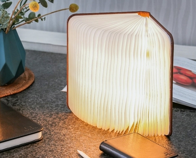 Gingko Design Smart Book Light: Large