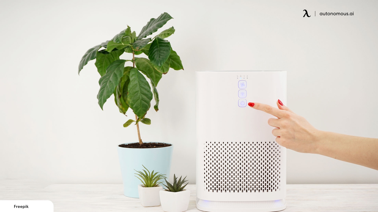 Air Purifier vs. Dehumidifier: Which One Is Suitable for You?