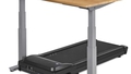 LifeSpan Fitness TR1200-Power Electric Height Adjust Treadmill Desk - Autonomous.ai