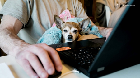10 Tips That Make Working From Home So Much Better