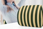 logicfox-logicfox-lumbar-support-pillow-for-office-chair-and-car-seat-stripe-green