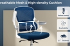 logicfox-ergonomic-office-chair-double-lumbar-support-logicfox-ergonomic-office-chair-double-lumbar-support