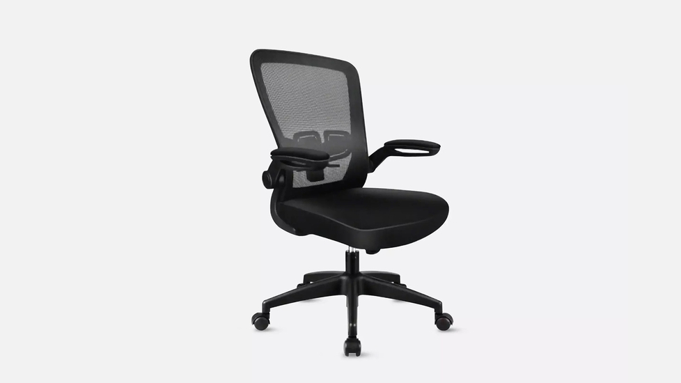 FelixKing Office Chair, Ergonomic Desk Chair with Adjustable Height and  Lumbar Support Swivel Lumbar Support Desk Computer Chair with Flip up  Armrests