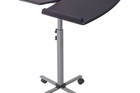 techni-mobili-rolling-adjustable-laptop-cart-graphite-graphite