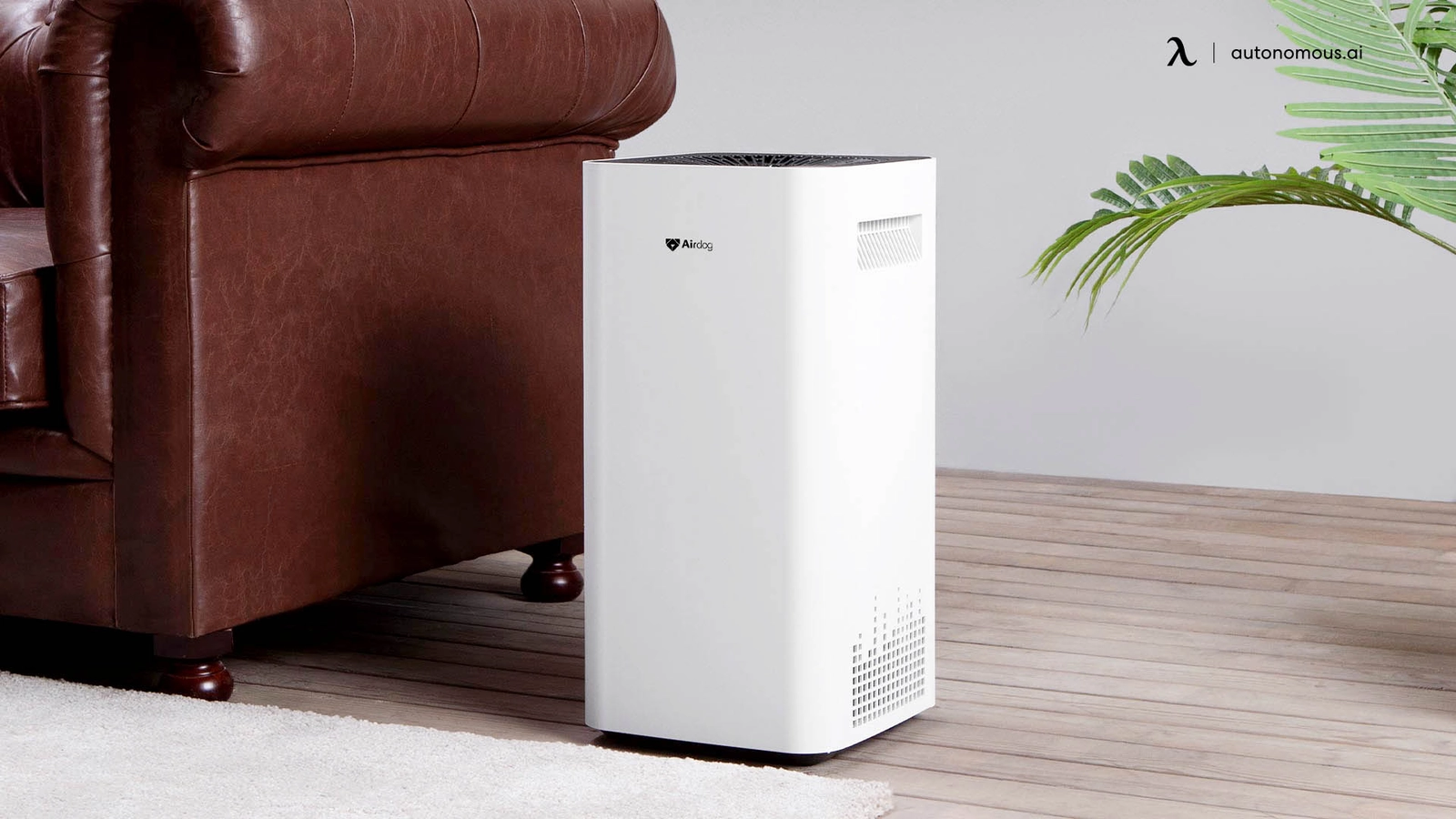 5 Popular Types of Air Purifier Available in the Market