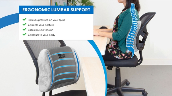 Mount-It! ErgoActive Lumbar Support Pillow Memory Foam