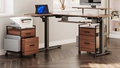 eureka-ergonomic-2-drawer-mobile-vertical-filing-cabinet-walnut - Autonomous.ai