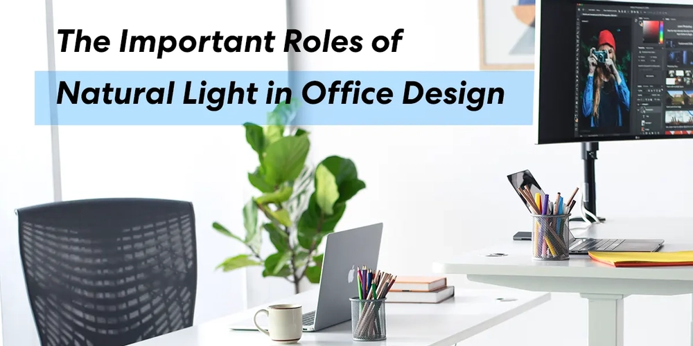 The Important Roles of Natural Light in Office Design