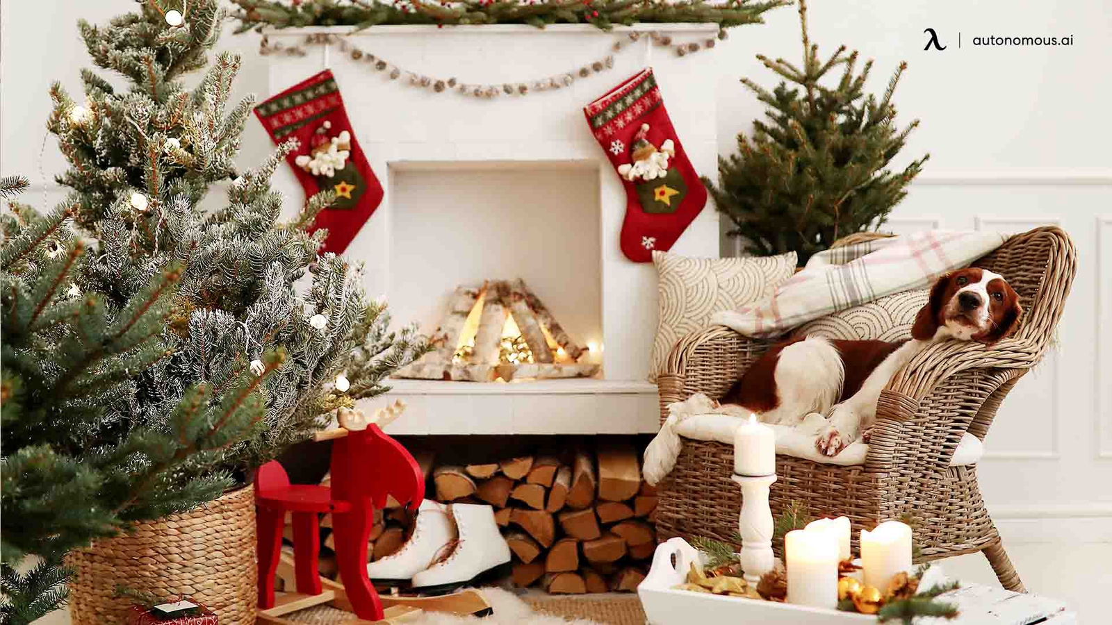 6 Best Place for a Christmas Tree Options for Your Home