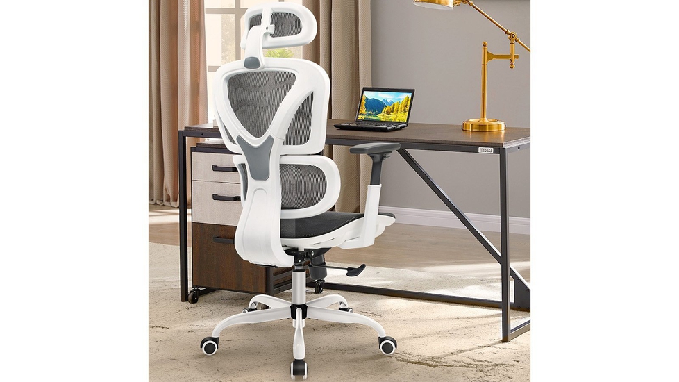 KERDOM FelixKing Ergonomic Chair: Breathable Mesh Cushion - Autonomous.ai