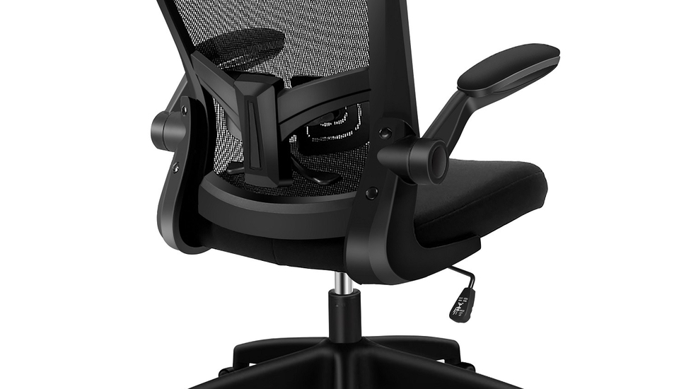 KERDOM Office Chair - Autonomous.ai