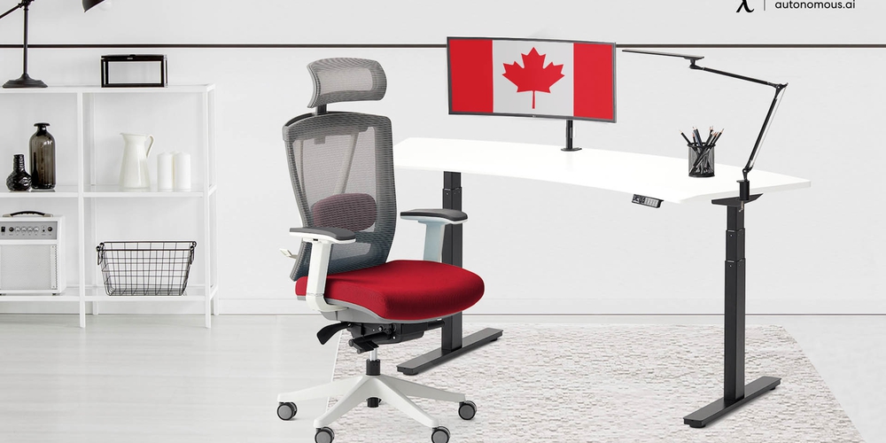 The 8 Best Mesh Office Chairs in Canada to Shop Online