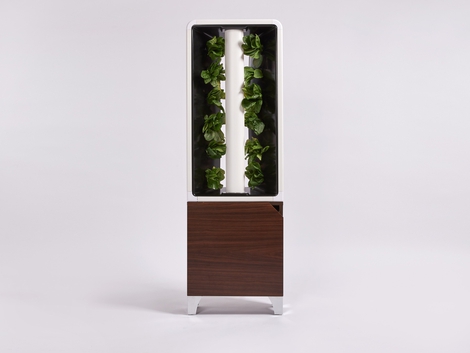Just Vertical The EVE: Indoor Garden with Automatic Irrigation