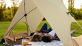 Lamp Depot Folding Canopy Tent: UPF 50+ Protection - Autonomous.ai