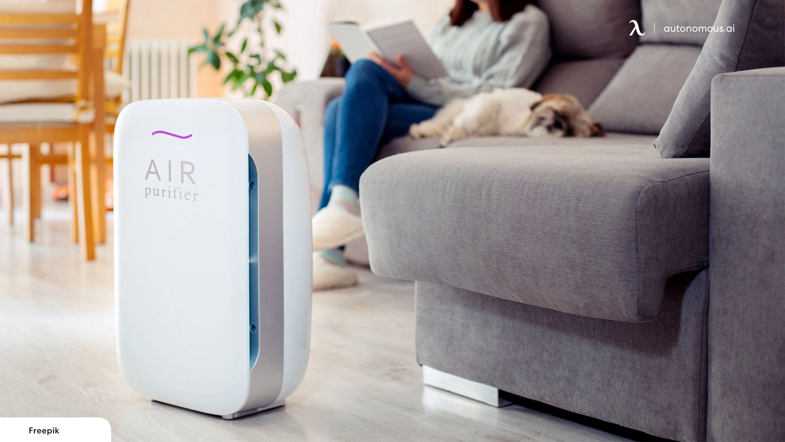 The Top 20 Air Purifiers for Office & Home Use in 2024