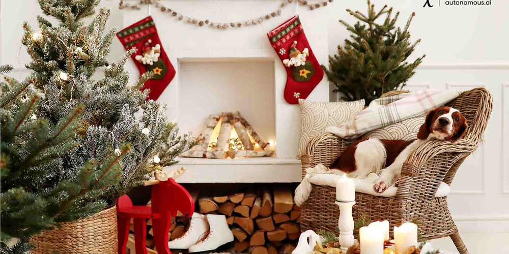 6 Best Place for a Christmas Tree Options for Your Home