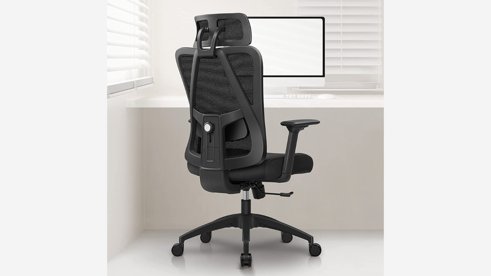 Ergonomic Office Chair, Primy Computer Desk Chair