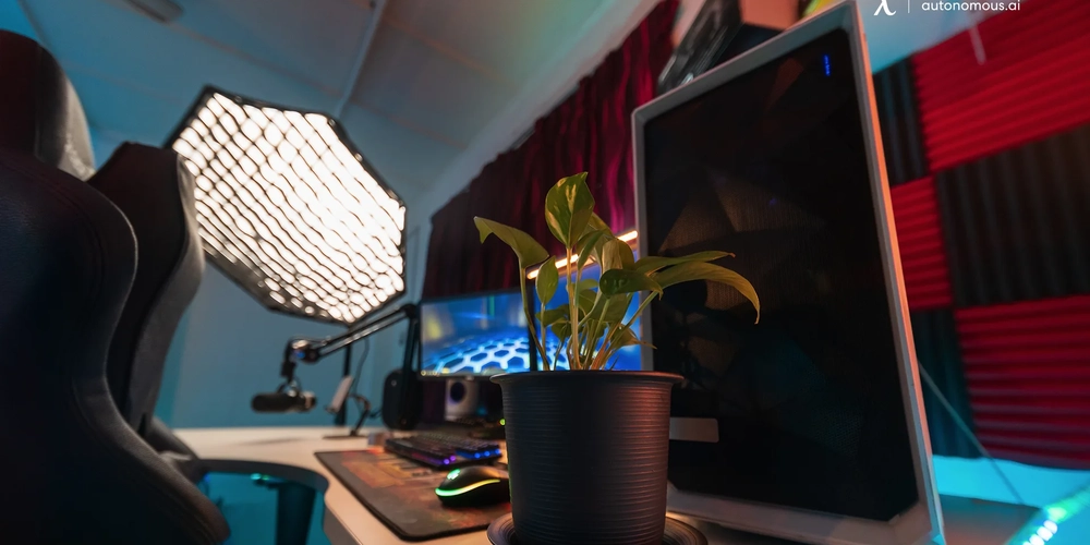 10 Ways to Create a Plant Gaming Setup