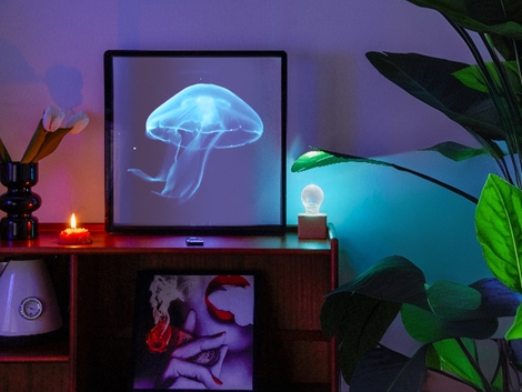 Lamp Depot 3D Hologram LED Fan With Frame: APP Control