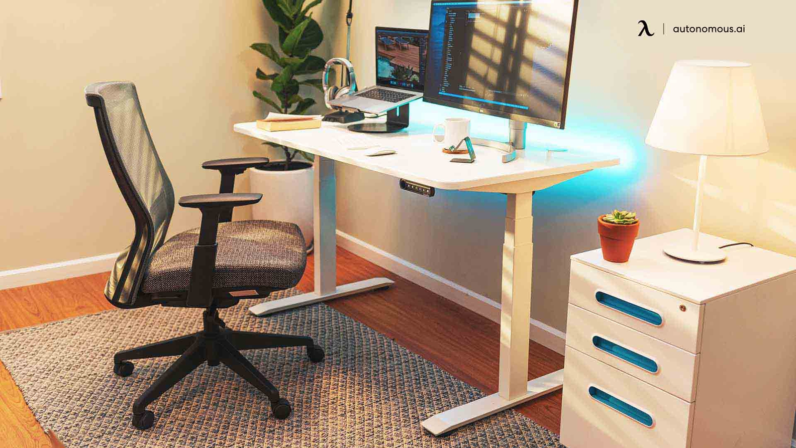 Top 8 Ergonomic Home Office Furniture for Remote Workers