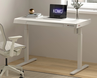 Kowo K309 Electric Standing Desk: Child Lock & USB Ports