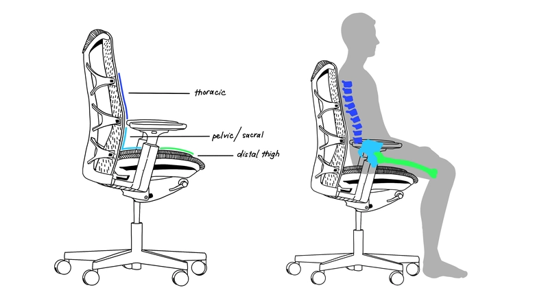 Linked Support Zones in the Kinn Chair