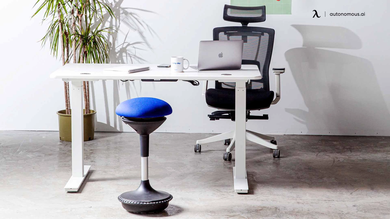 Ergonomic Stool Chairs Every Office Should Have