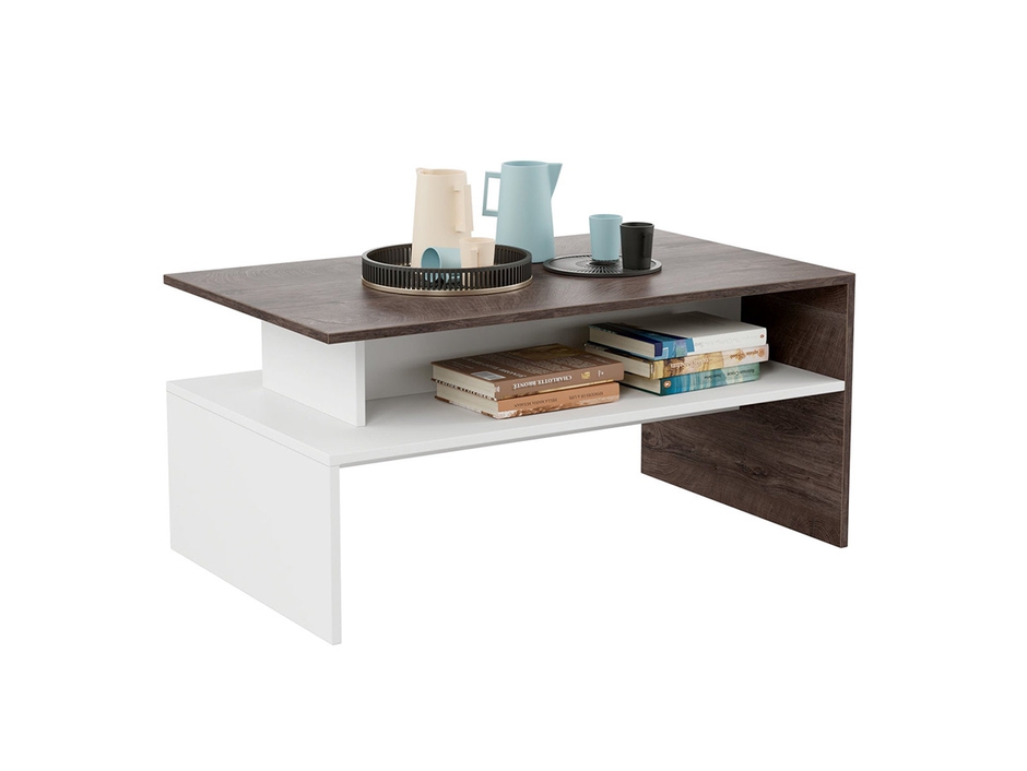 6Blu 2 Tone Modern Coffee Table: With Storage Shelf