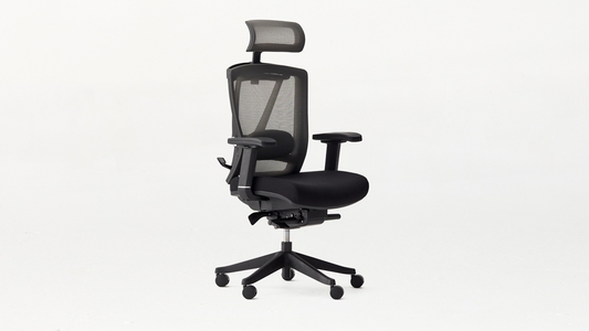 Ergochair 2 The Ergonomic Chair Every Office Needs
