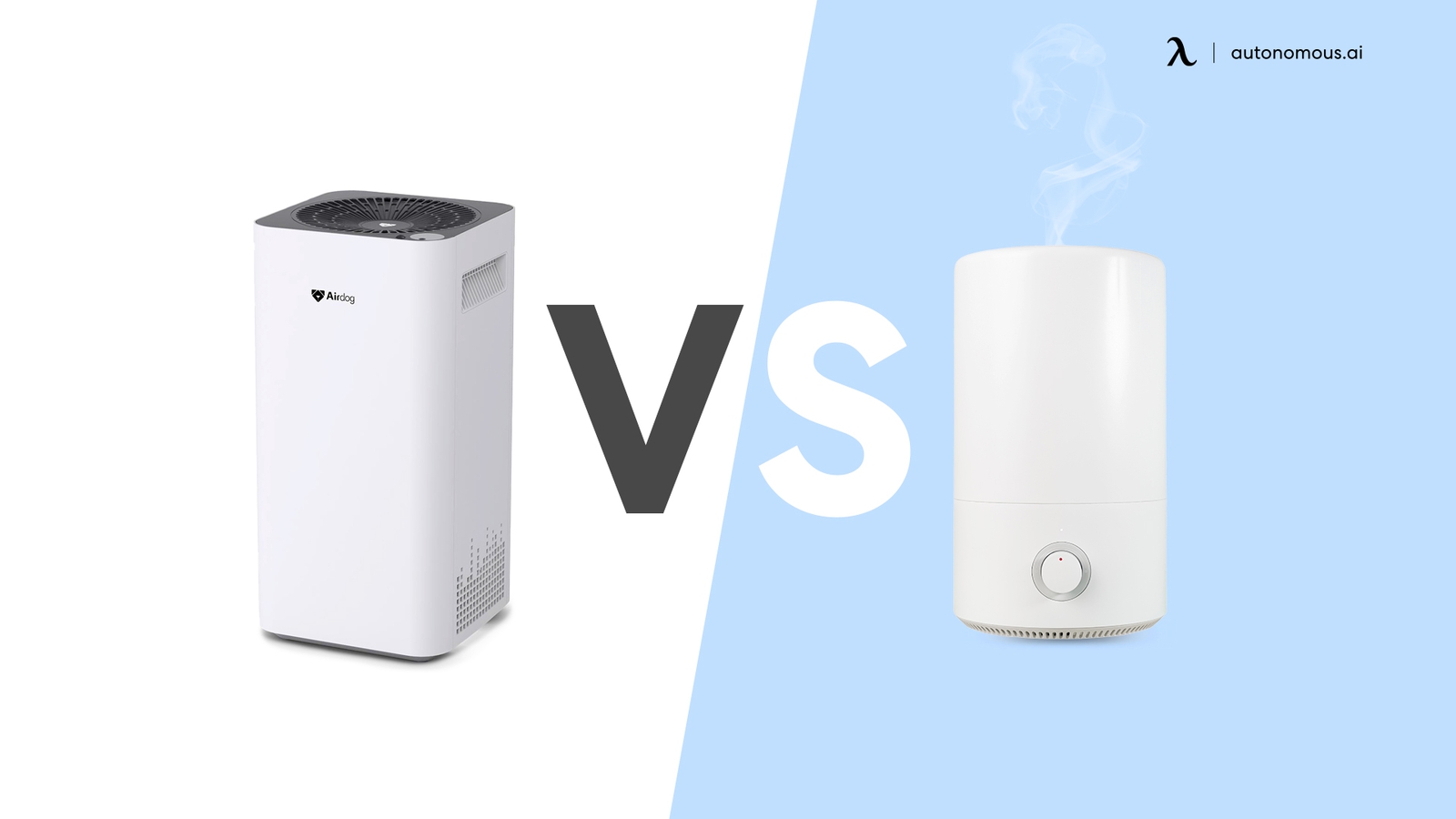 What is the Difference Between an Air Purifier and an Air Humidifier?