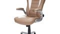 techni-mobili-high-back-executive-office-chair-rta-3527-cm-high-back-executive-office-chair-rta-3527-cm - Autonomous.ai