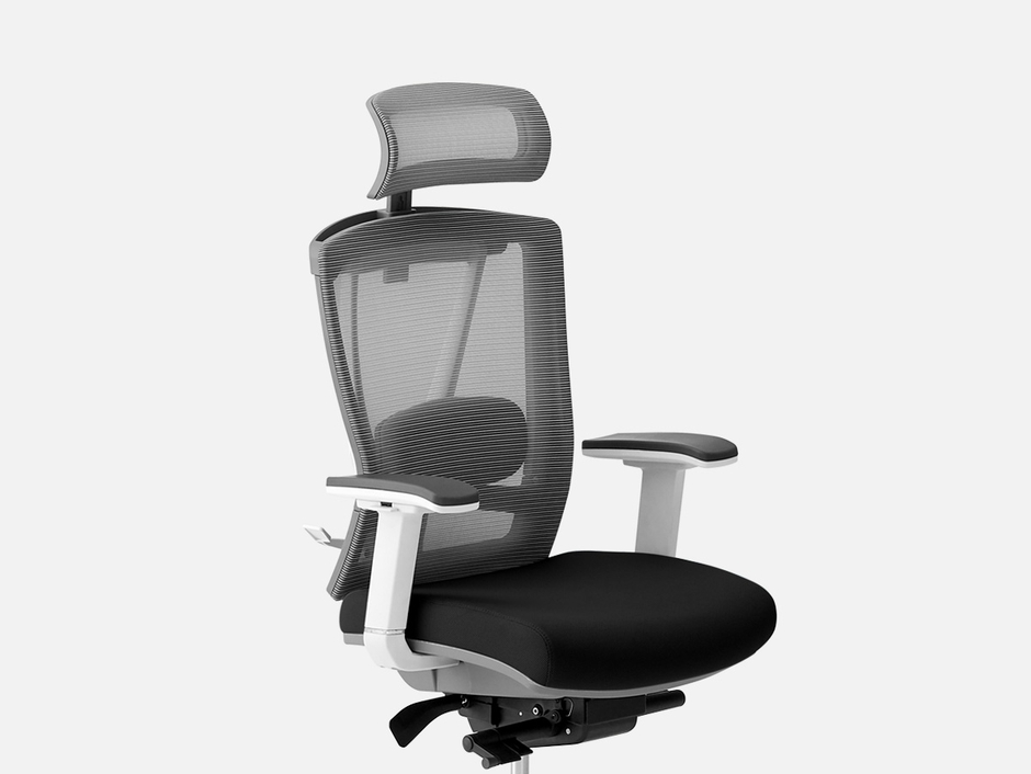 ErgoChair Pro (Black&White)