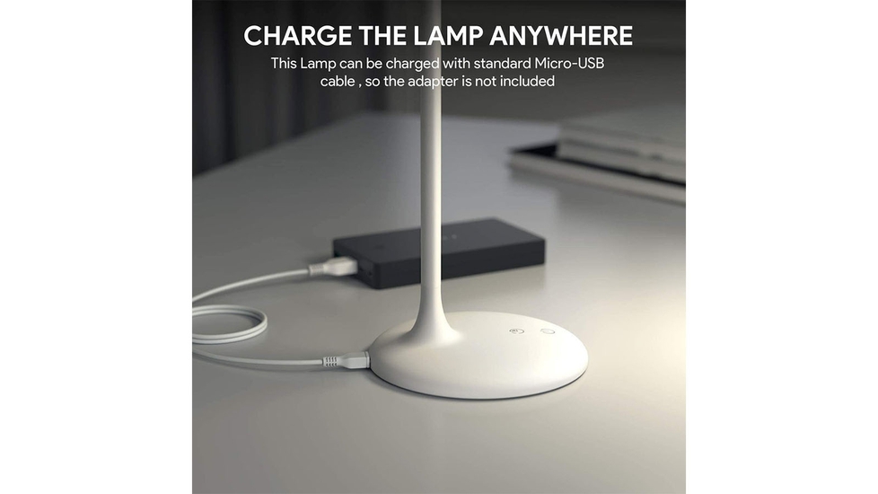 Portable Desk Lamp with Adjustable Brightness